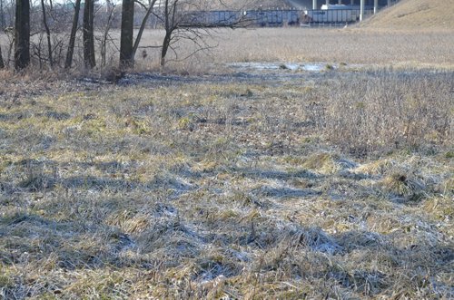 Property photo 15 - East Allen County - 55 Acre Land Auction